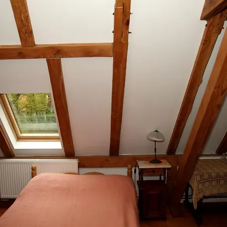 Bed & Breakfast Palac Ptaszynka